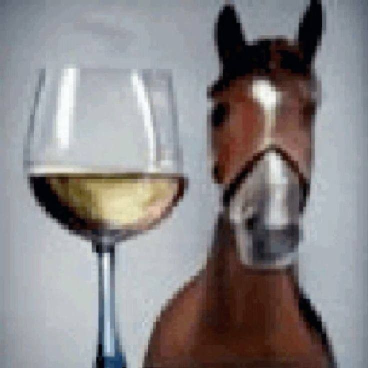 a horse with wine